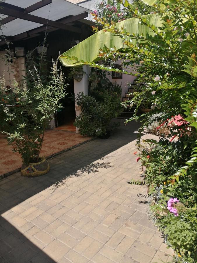 Hôtel Magnoliia à Soukhoumi Extérieur photo